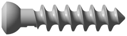 Sponge screw 6,5 mm diameter with full length thread (length 20...120 mm)