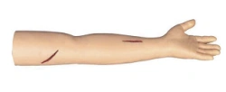 Surgical skills model, N