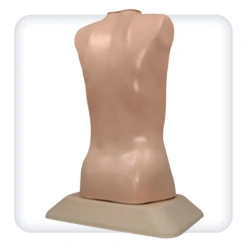 M1043 Heart and lung auscultation simulator