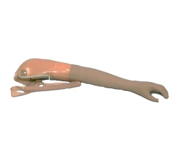 Male cosmetic shoulder prosthesis