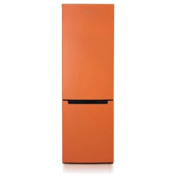 Refrigerator-freezer "Biryusa T860NF"