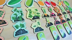 Didactic game "Growing a crop