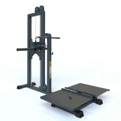 BF-202.2 Belt Squat