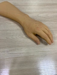 Forearm prosthesis cosmetic PR2-K