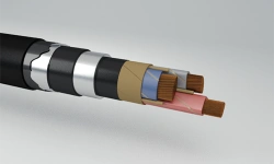 Power cables with heat-resistant insulation, with polymer outer sheath, for voltage up to 20 kV, mark TEVOKS-SHV, TEVOKS-AShv, T