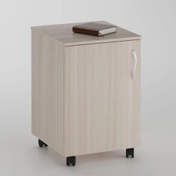 Bin on wheels 1 shelf with door