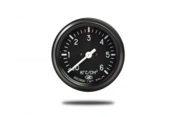 2031.3830010 Pressure indicator