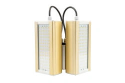 LED luminaire Module GOLD, cantilever KM2-2, 3000K, 64W