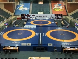 Wrestling mat