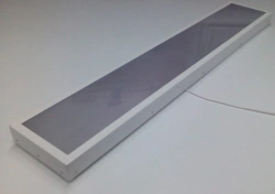 BROWNED LED luminaire SBO 114-32-56S-IP44 (B) ceiling mounted