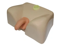 Bladder Catheterisation Trainer (male) MU0215