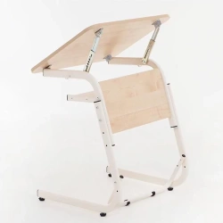 Table for people with disabilities
