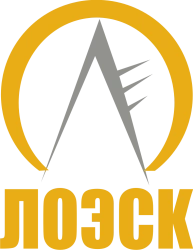 Electricity Transmission and Technological Connection Services for Distribution Networks