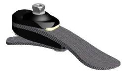 Functional Prosthetic Modules