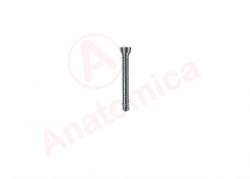 Sponge screw with tapered thread