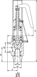 15s-1-1 Direct acting safety valve