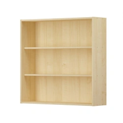 Display case wall mounted