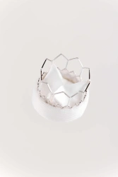 Cardiac Valve Prostheses