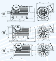 General industrial asynchronous electric motors of DA 250 series, power not more than 37 kW