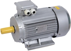 Three-phase induction motor AIR 250M2 660V 90kW 3000rpm 2081 DRIVE IEK