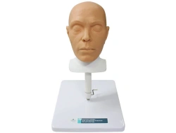 Head phantom for practising cosmetology skills MU0627