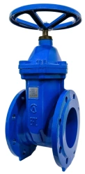 Cast iron gate valve with rubberised wedge 30ch39r SLG11