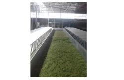 Floor trench dryer for grain, herbs, vegetables ST-70