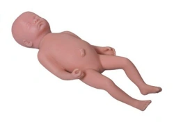 Baby mannequin 1 month Y1