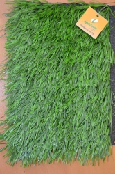 Artificial grass Optigrass 40 TR