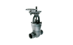 Gate valve 1017-250-CZ
