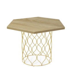 Coffee table SHT-TU49/TT20 60 LDF