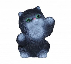 Kitten Tishka