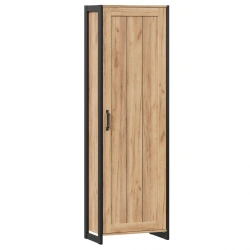 Techno LD.678060.000 Single-leaf cupboard (Oak Gold )