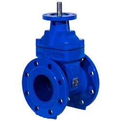 Gate valve with rubberised wedge under electric actuator Ridval