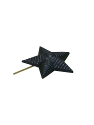 Black metal star with diameter of 13 mm for employees, TU 9675-191-08836809-2012, Izv. 1,2,3,4