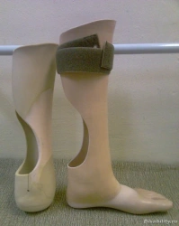 8-07-01 Foot prosthesis