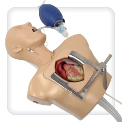 M1153 Chest simulator with simulation of median sternotomy for cannulation with subsequent AIC insertion