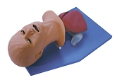 Infant head model for tracheal intubation, item 2A