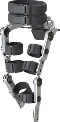 Companion exoskeleton