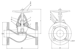 Valve non-return shut-off flanged bore without spring DN 50 PN 10 series 458 (KMIA.491915.002-05)