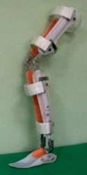 Ankle and knee joint apparatus