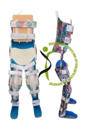 AH8-116DP (AH8-116) lower limb and torso apparatus