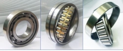 Roller bearings