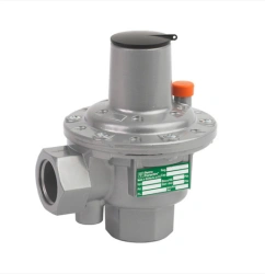 Pilot type safety relief valve (PSC) VS/AM 65 series