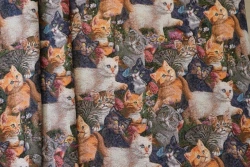 Fabric Kotyata art.300735