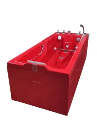 Hydrotherapeutic bathtub "OCCERVILLE", modification - hydro/aeromassage with chromolamp: G30/A15/X/E/C