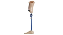 Hip prosthesis for bathing
