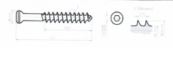 Spongy titanium alloy screw 6.5mm, 16mm threads 60mm