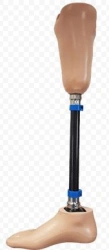 8-07-04 Tibia prosthesis for bathing