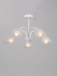 General purpose fixed luminaire V33360-0/5PL
